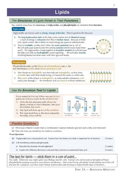 A-Level Biology: AQA Year 1 & 2 Complete