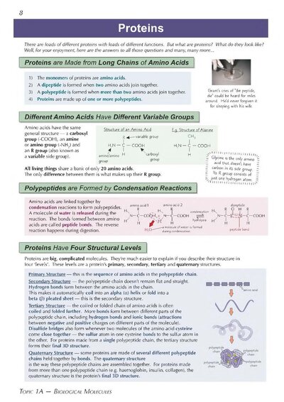 A-Level Biology: AQA Year 1 & 2 Complete