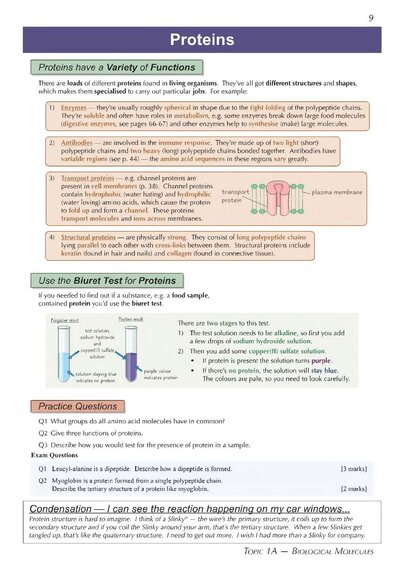 A-Level Biology: AQA Year 1 & 2 Complete