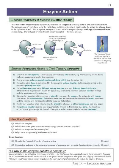 A-Level Biology: AQA Year 1 & 2 Complete