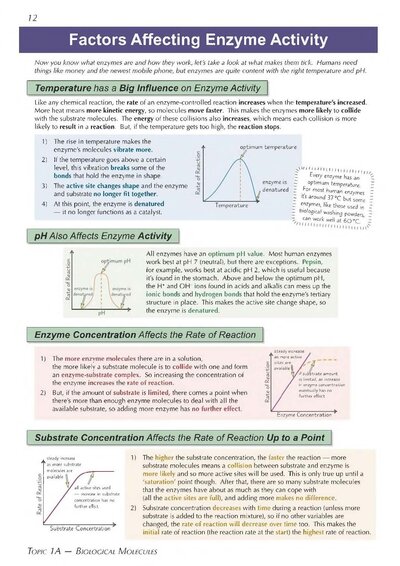 A-Level Biology: AQA Year 1 & 2 Complete