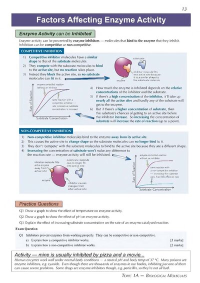 A-Level Biology: AQA Year 1 & 2 Complete