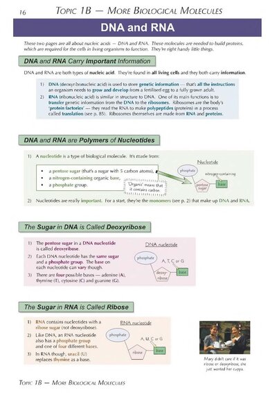 A-Level Biology: AQA Year 1 & 2 Complete