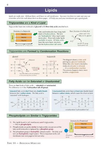 A-Level Biology: AQA Year 1 & 2 Complete