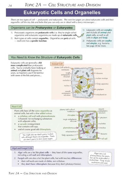 A-Level Biology: AQA Year 1 & 2 Complete