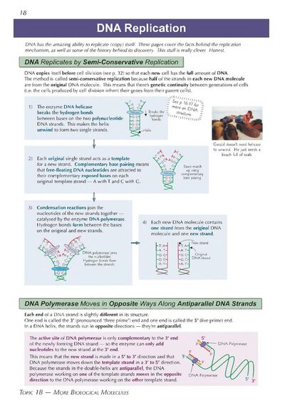 A-Level Biology: AQA Year 1 & 2 Complete