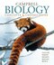 صفحه 1