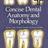 دانلود کتاب Concise Dental Anatomy and Morphology