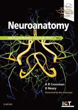 عکس دانلود کتاب Neuroanatomy: an Illustrated Colour Text 6th Edition 2020