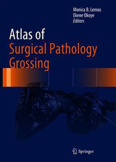 عکس دانلود کتاب Atlas of Surgical Pathology Grossing  (Atlas of Anatomic Pathology) 1st ed. 2019 Edicion