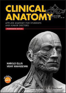 تخفیف دانلود کتاب Clinical Anatomy: Applied Anatomy for Students and Junior Doctors 14 ... 