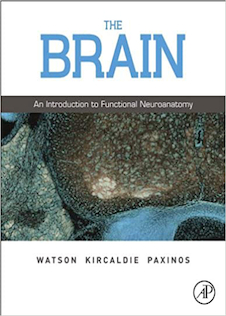 عکس دانلود کتاب The Brain: An Introduction to Functional Neuroanatomy 1st Edición
