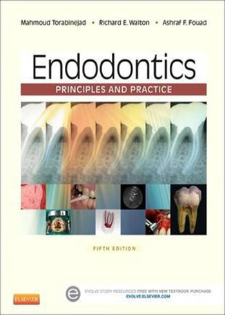 عکس دانلود کتاب Endodontics : Principles and Practice